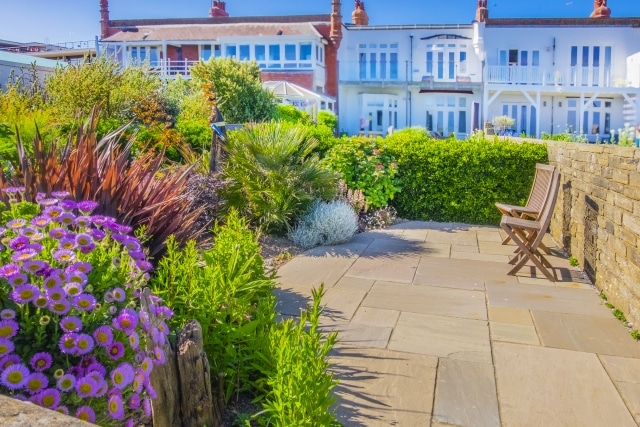 植物が枯れた原因は休眠!生態サイクルが違う一年草と宿根草とは